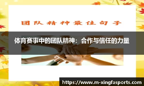 兴发体育APP