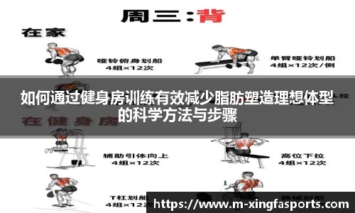 兴发体育APP