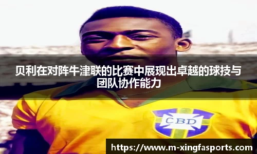 兴发体育官网
